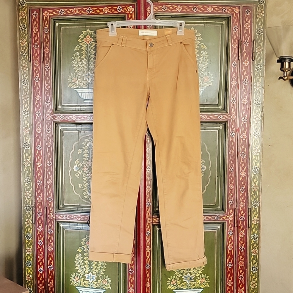 Anthropologie Pilcro and the Letterpress pants sz 27. Burnt orange color.